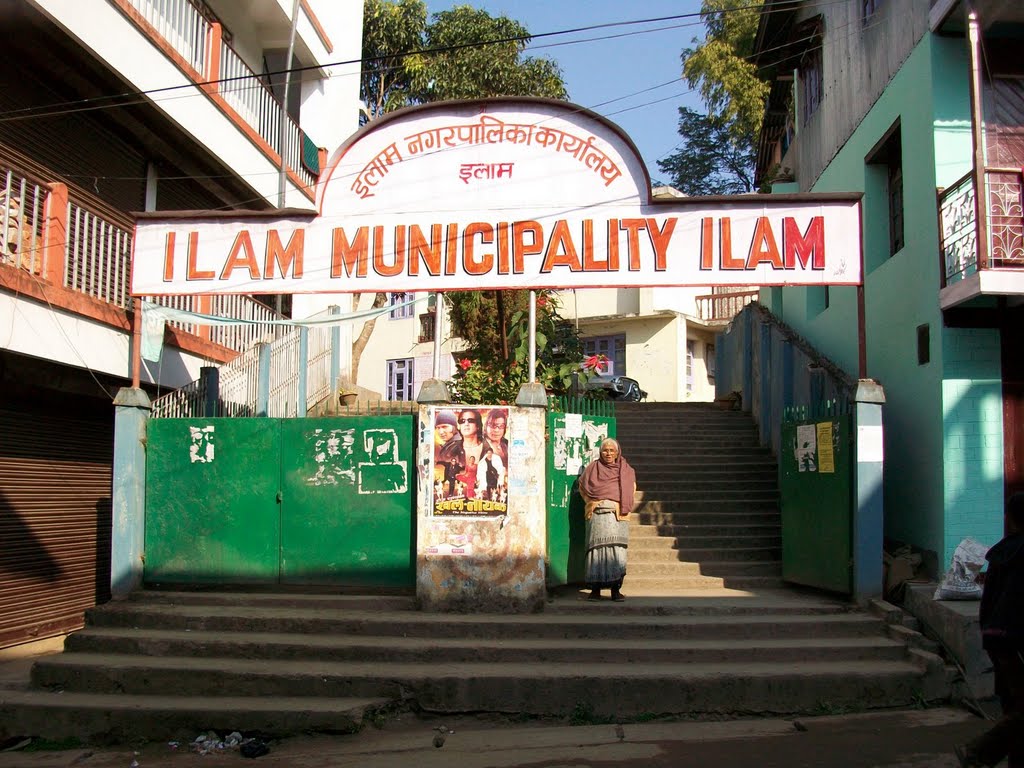 नगरपालिकाले दलित ज्येष्ठ नागरिकको निःशुल्क बीमा गरिदिने