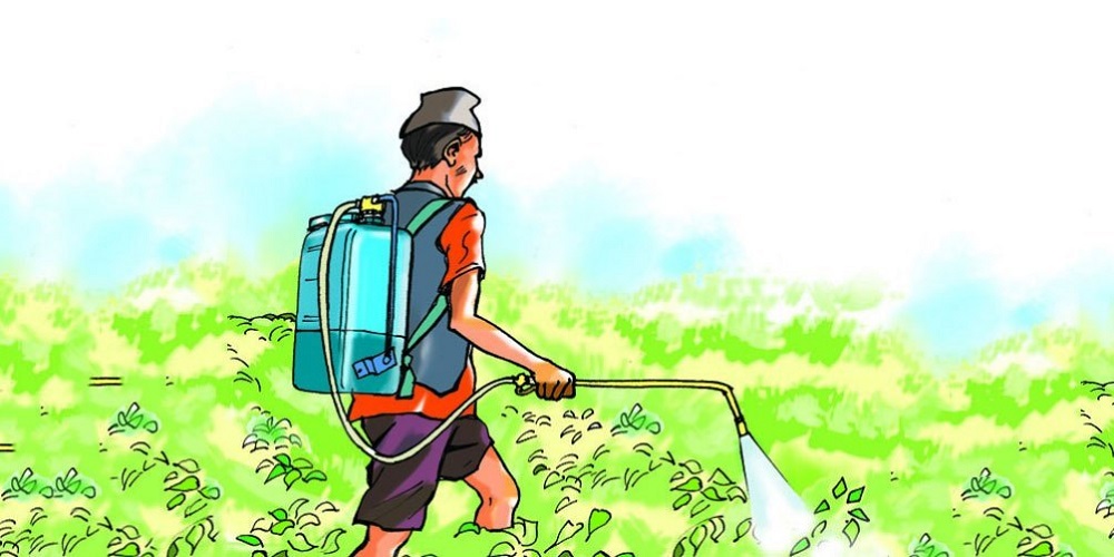 चितवनमा बुधबारदेखि ‘ विषादी प्रयोगमुक्त सप्ताहब्यापी कार्यक्रम  सुरु