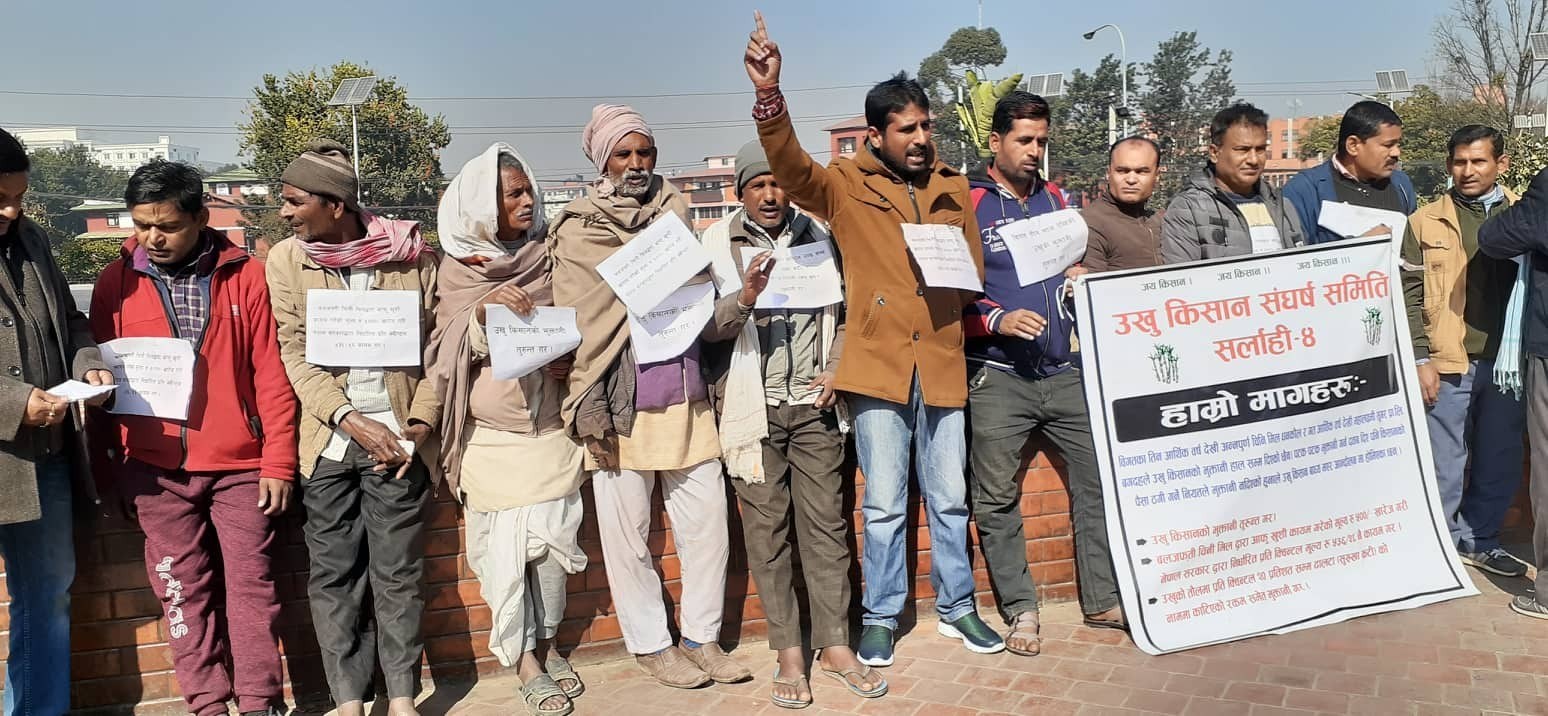 उचित मूल्य नपाउँदा उखु किसान मर्कामा