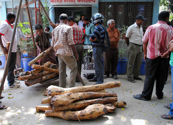 नेपालमा बरामद पौने दुई लाख केजी रक्तचन्दन भारत लैजान स्वीकृति