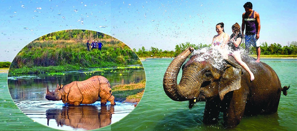 हात्ती सफारी र डुङ्गा सयरको आनन्द उठाउँदै पर्यटक