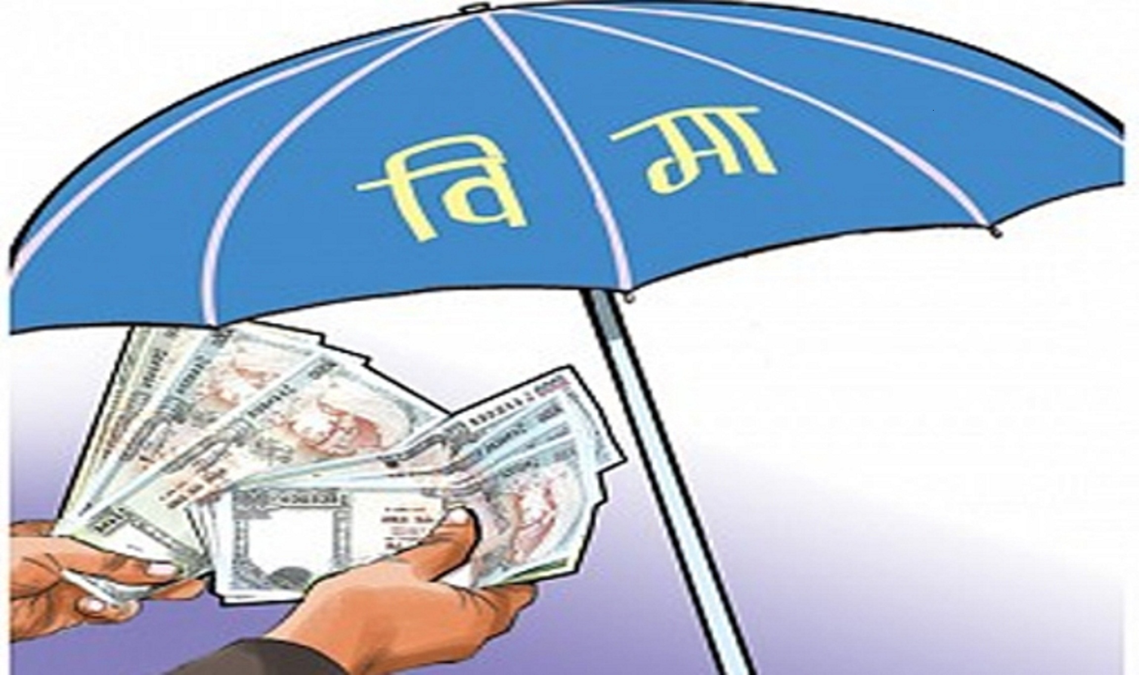 लघु बिमामार्फत सहुलियत कर्जाको जोखिम बहन