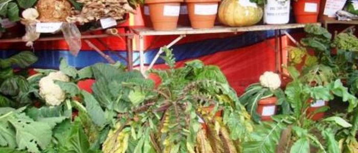 जुम्लाबाट  ६१ प्रकारका जडीबुटी निर्यात