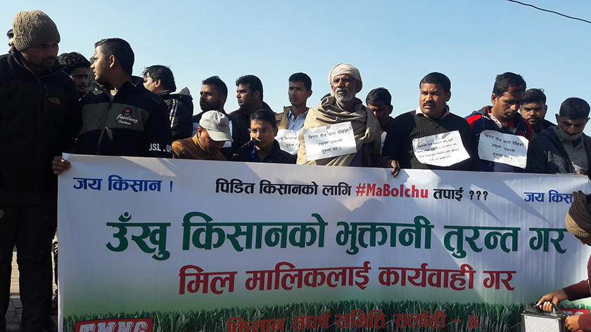 आन्दोलनको तयारीमा उखु किसान