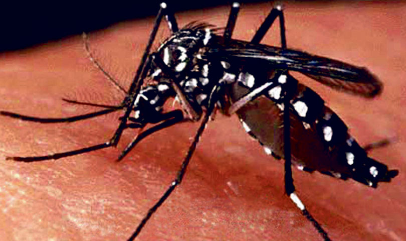 कोरोनाको पछिपछि स्क्रफ टाइफस र डेंगु, झण्डै १०० जनालाई संक्रमण