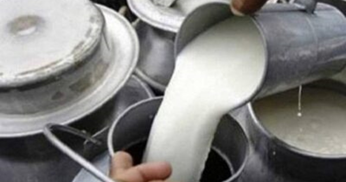दैनिक दुई सय लिटर दूध बेचेर किसान पुरस्कृत