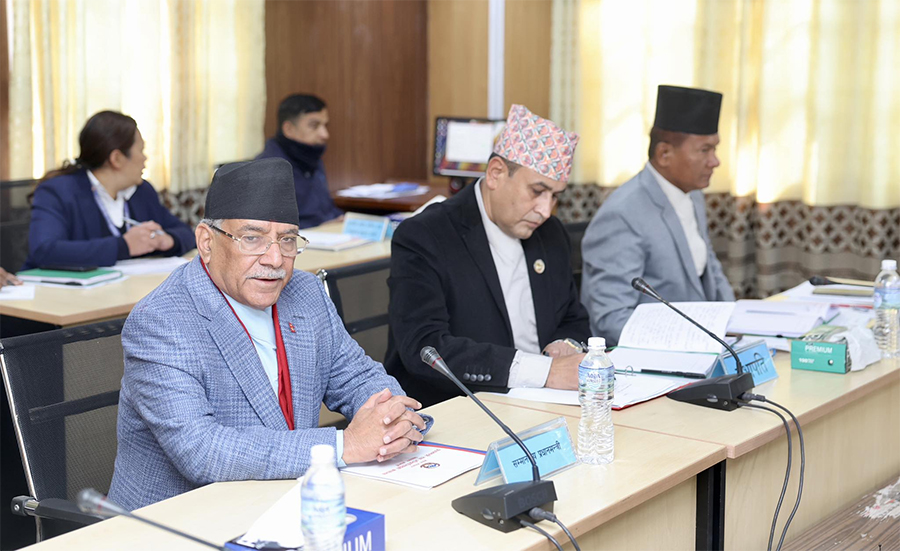 एनसेलको शेयर खरिद बिक्री स्वाभाविक छैन : प्रधानमन्त्री प्रचण्ड