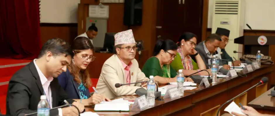 सहकारी ठगीबारे छानबिन समितिको निष्कर्ष : 'नियतबस ठगी, सबै पार्टी संलग्न'