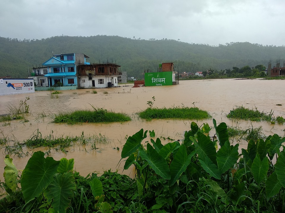 बाढीको उधुम, जताततै जलमग्न