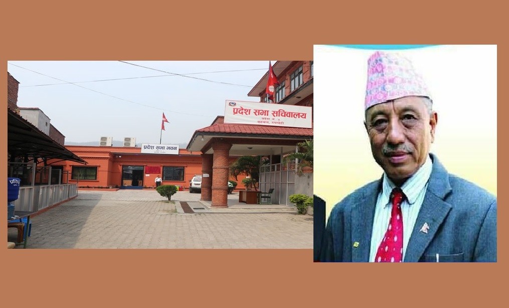 मस्यौदा समितिको संयोजक पदबाट श्रेष्ठले दिए राजीनामा