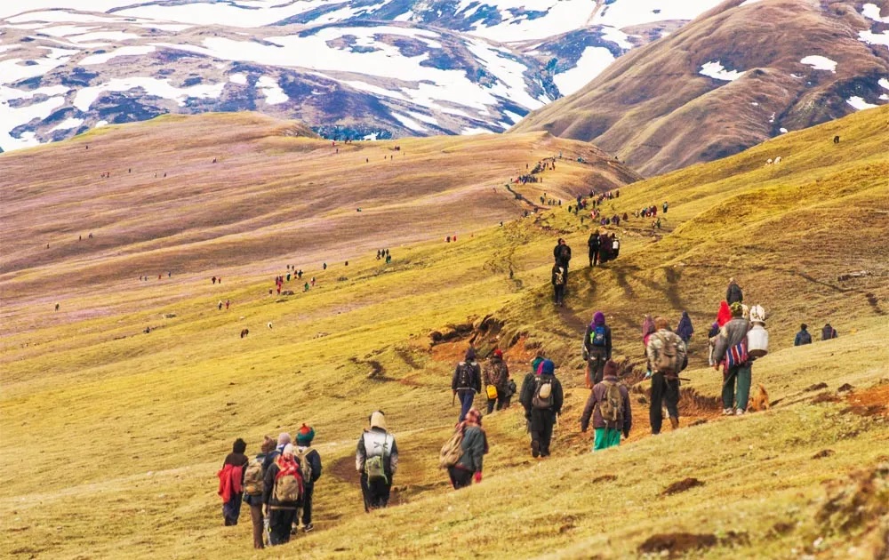 यार्सागुम्बा टिप्न गएका ४ जनाको मृत्यु