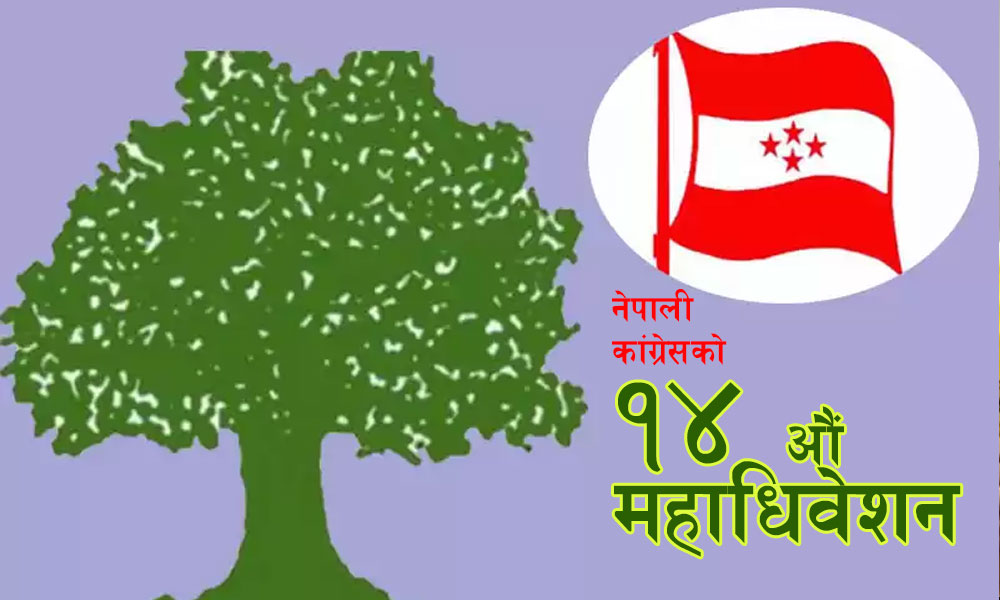 सभापतिका चार उम्मेदवारले मतदान गरे, काे बाँकी ?