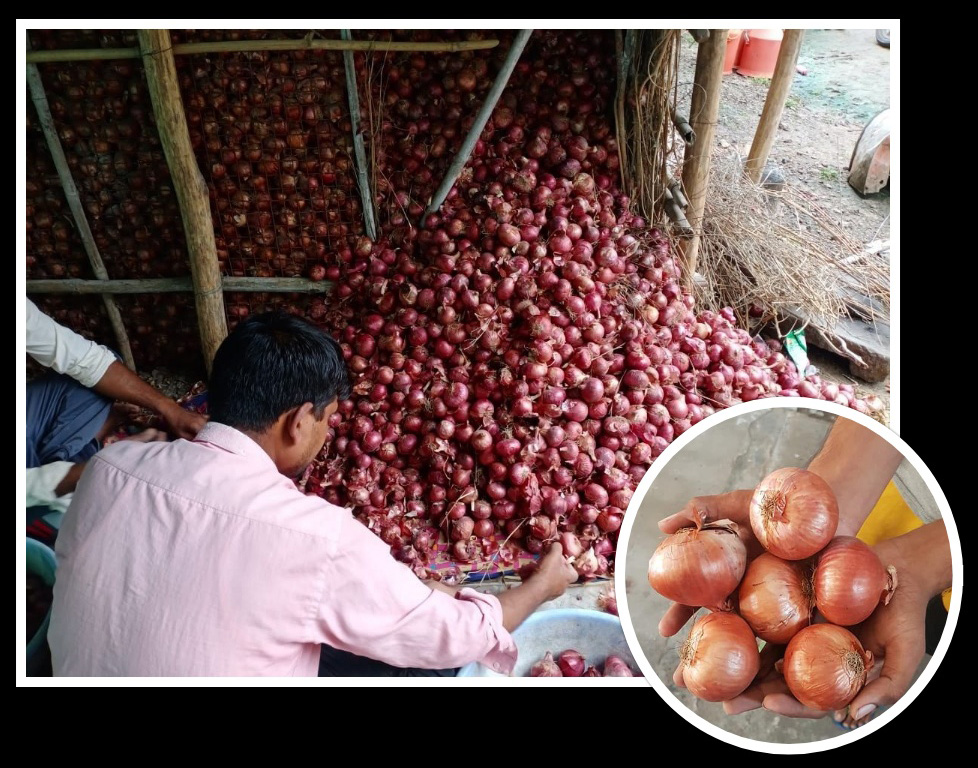 प्याजको कालोबजारी गर्ने तीन व्यापारी पक्राउ, पसल सील