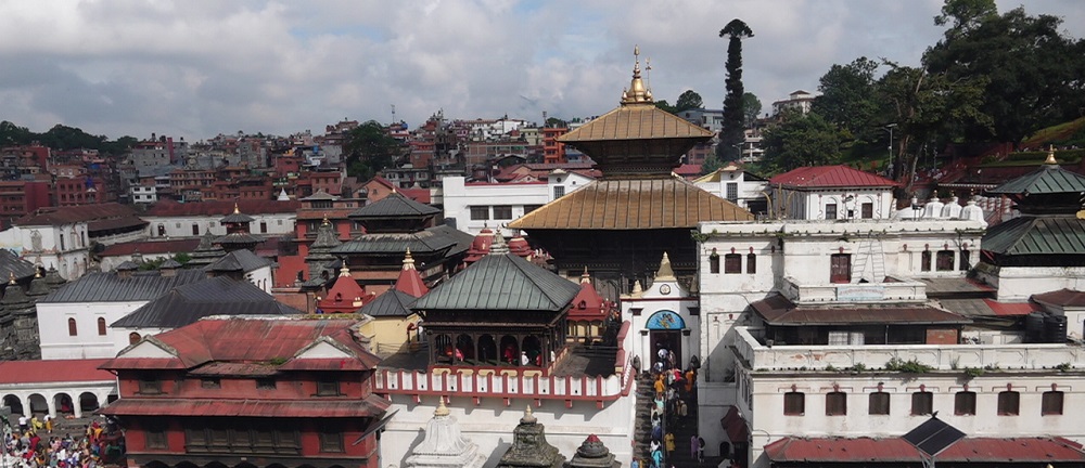 आज पशुपतिमा नागमणि हेर्न पाइने
