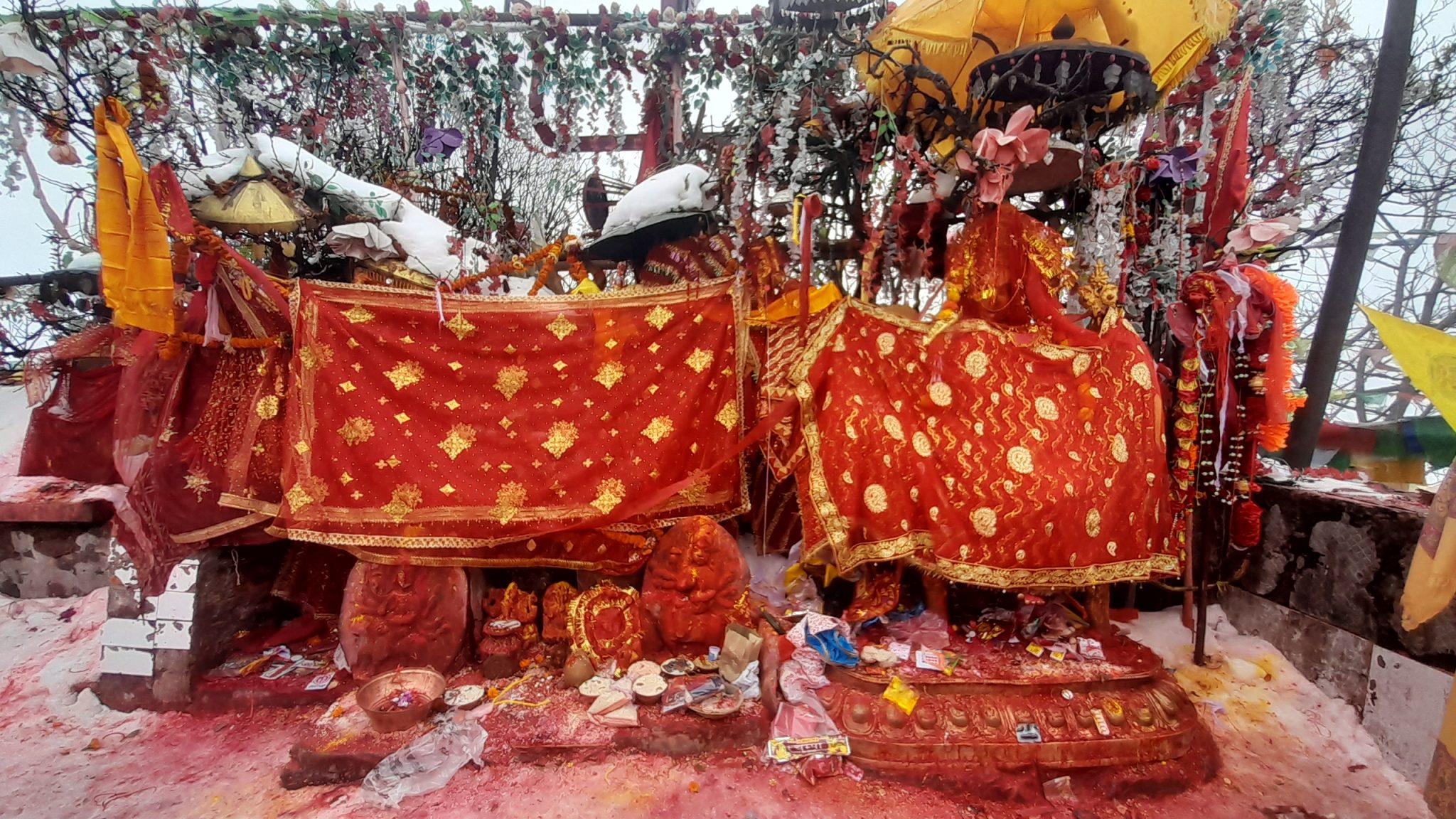 जेठ महिनामा मात्रै पाथिभरामा ६ लाख ५० हजारभन्दा बढी भेटी संकलन