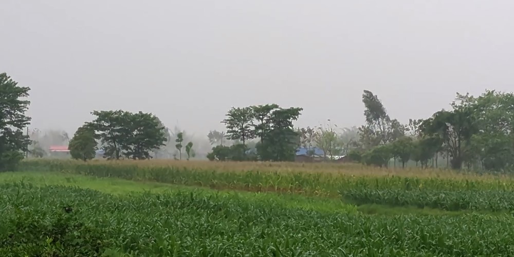 पूर्वी तराईमा वर्षा, काठमाडौँमा कहिले ?