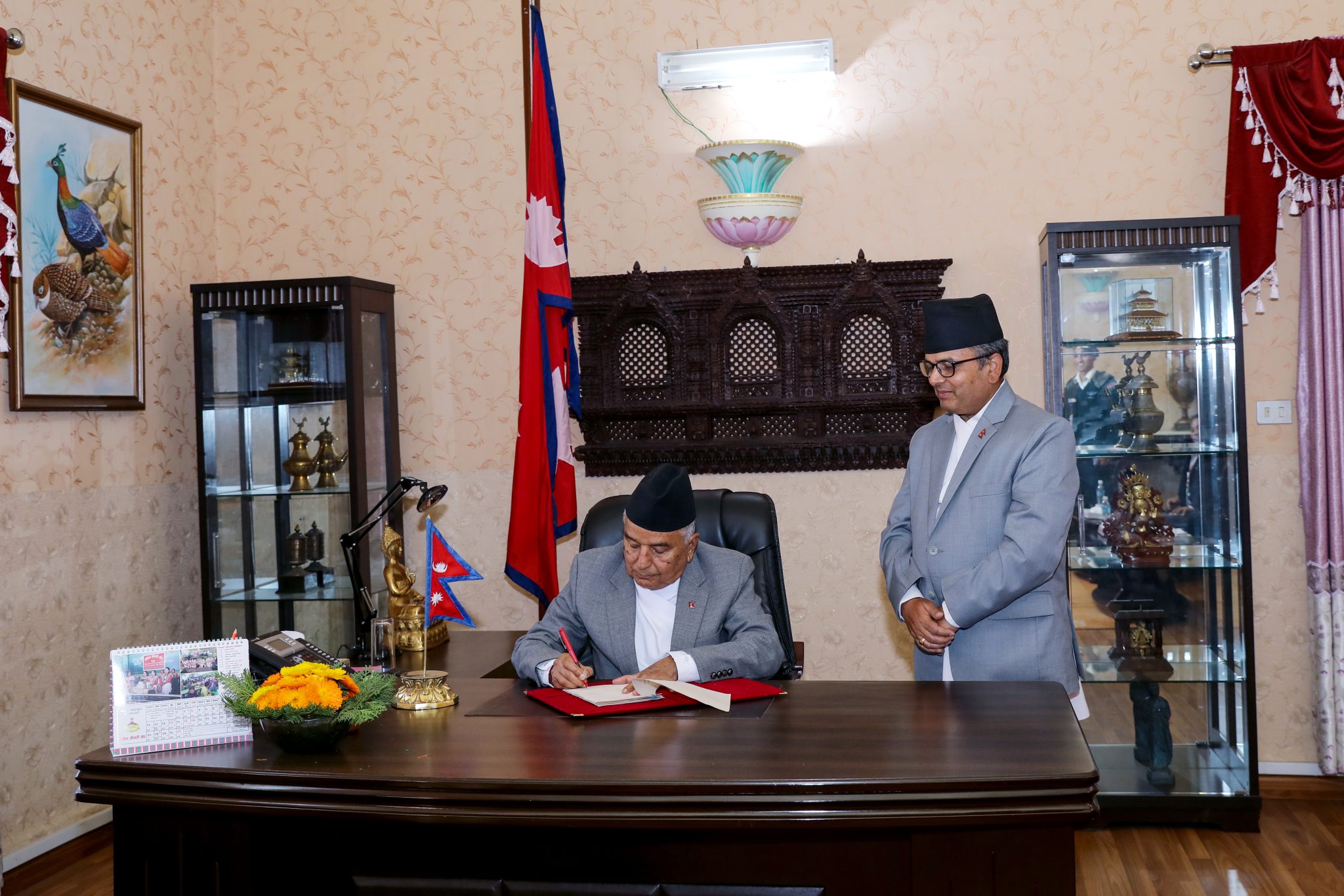 संवैधानिक परिषद् विधेयक राष्ट्रपतिबाट प्रतिनिधिसभामा फिर्ता