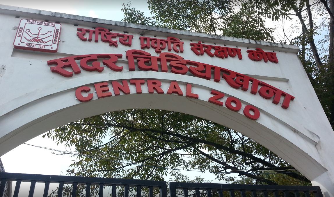सदर चिडियाखाना  : १ वर्षमा १७ करोड ७५ लाख रुपैंया आम्दानी