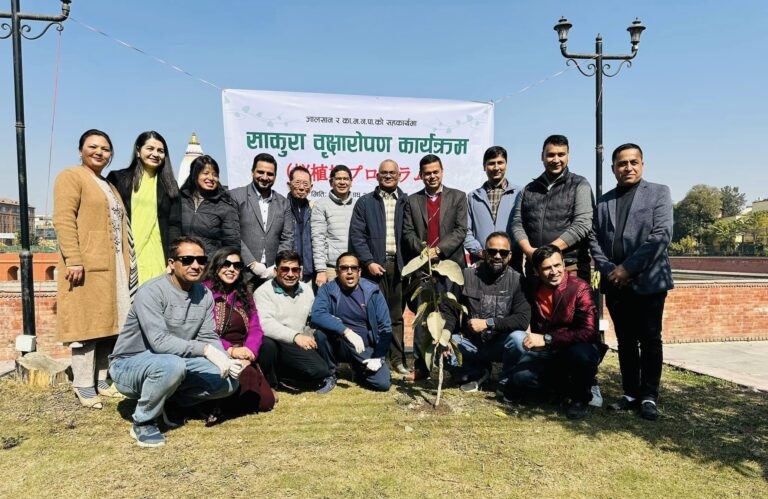 रानीपोखरी परिसरमा जाल्सानको साकुरा वृक्षारोपण
