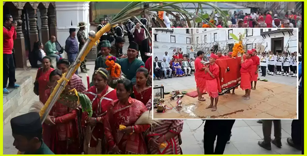 दशैंको सप्तमी, आज शुभसाइतमा फूलपाती भित्र्याइँदै
